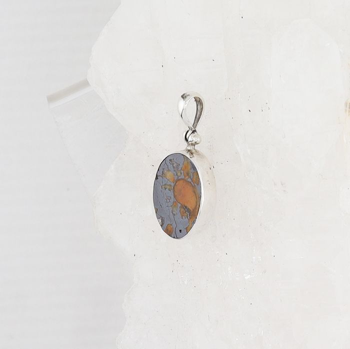 SB P-1222 AMM  (Ammonite Fossil)