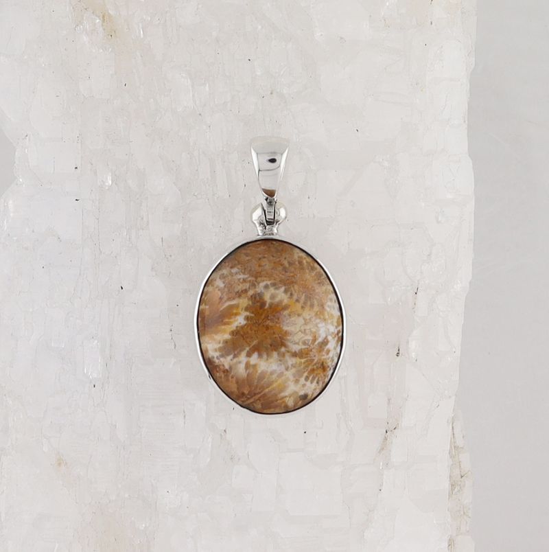 SB P-1254 FC (Fossilize Coral)