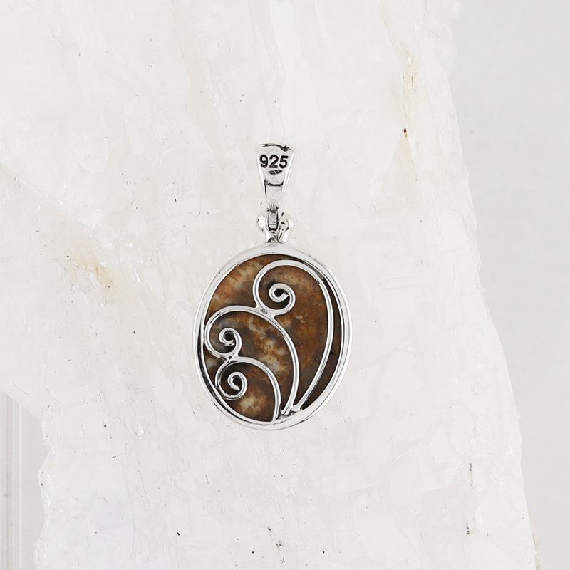 SB P-1254 FC (Fossilize Coral)