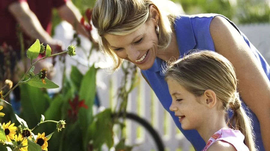 Disability Income Insurance