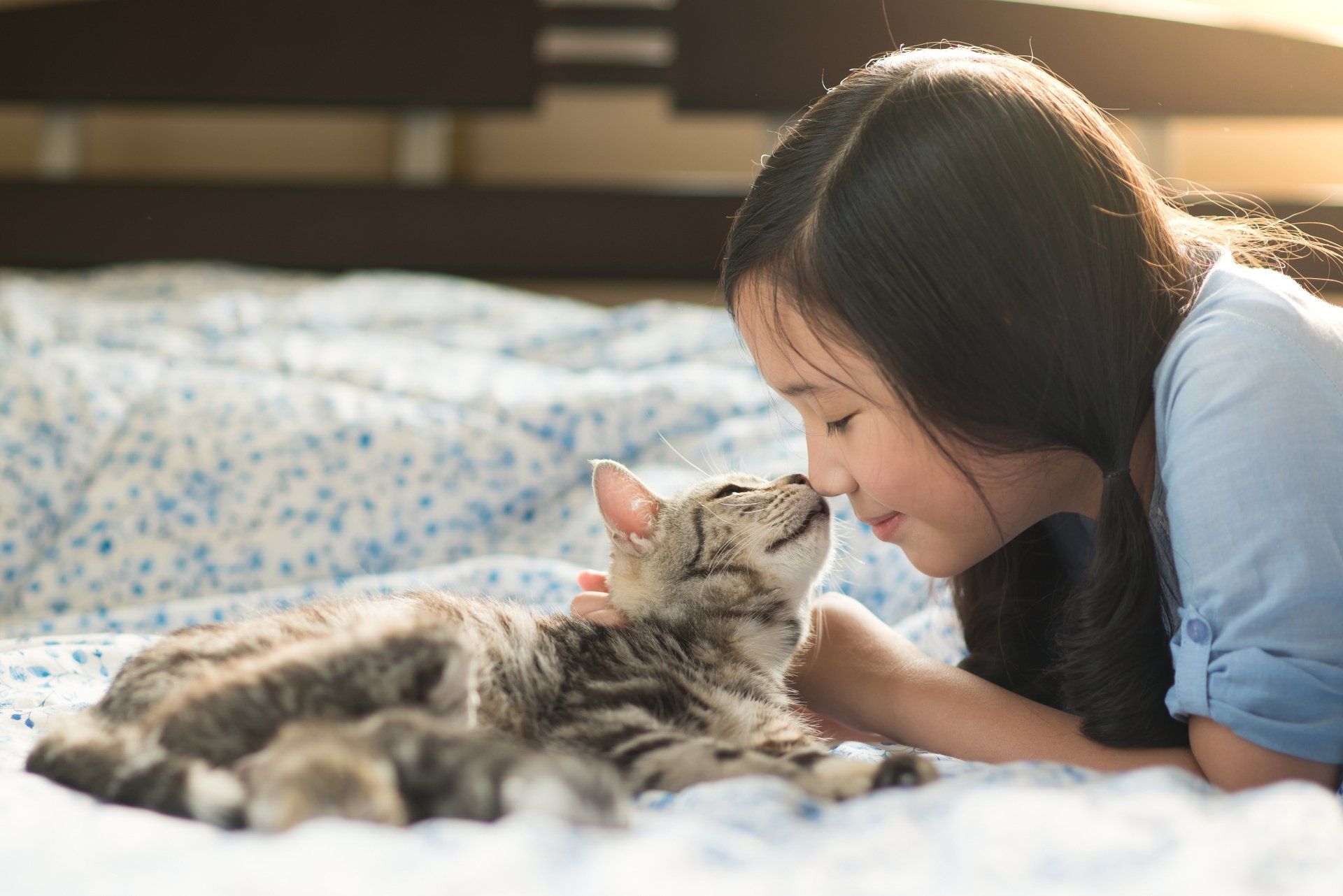 Pet Insurance Benalign