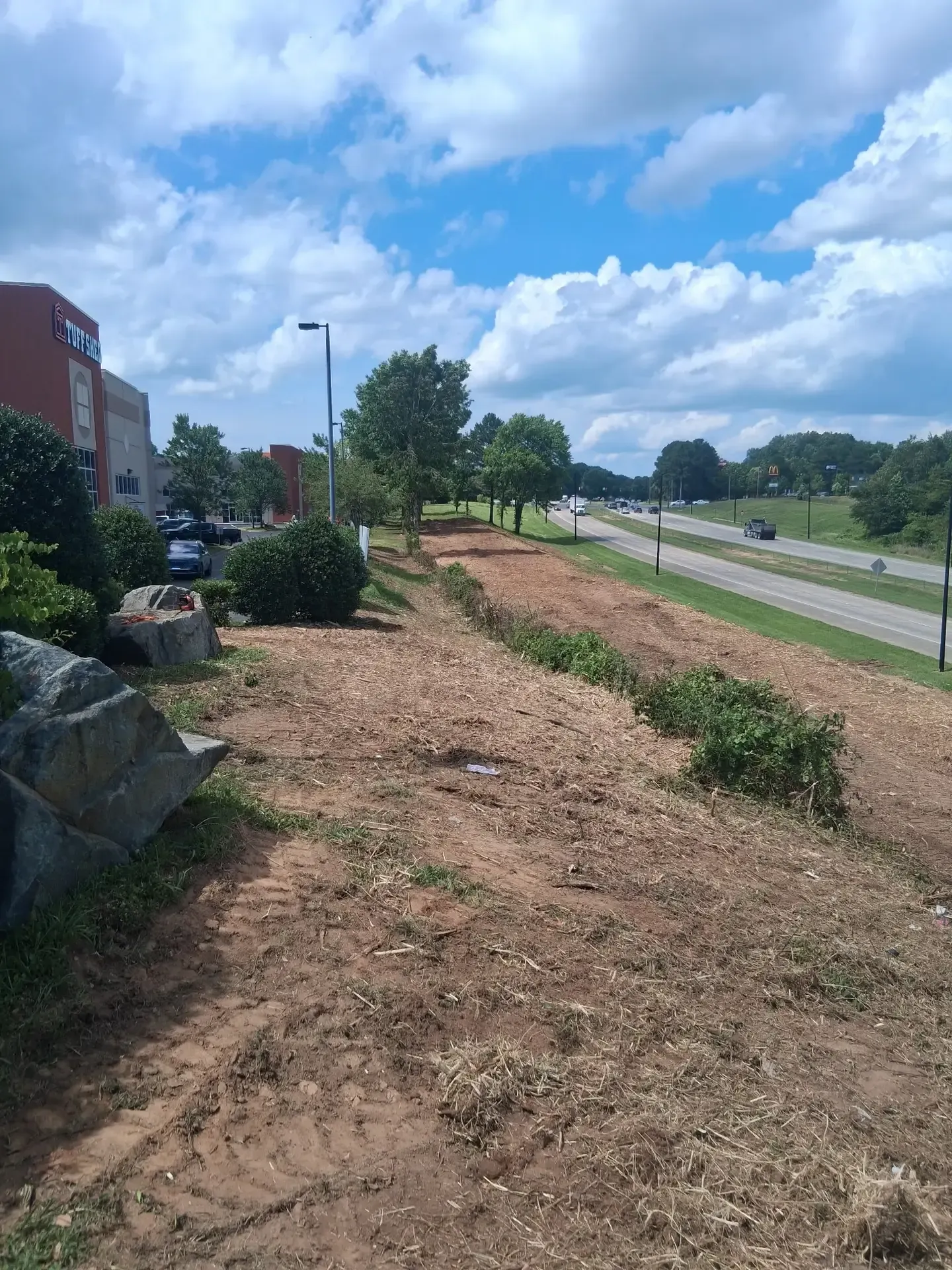 Grassy roadside embankment with shrubs beside a road under a partly cloudy blue sky
