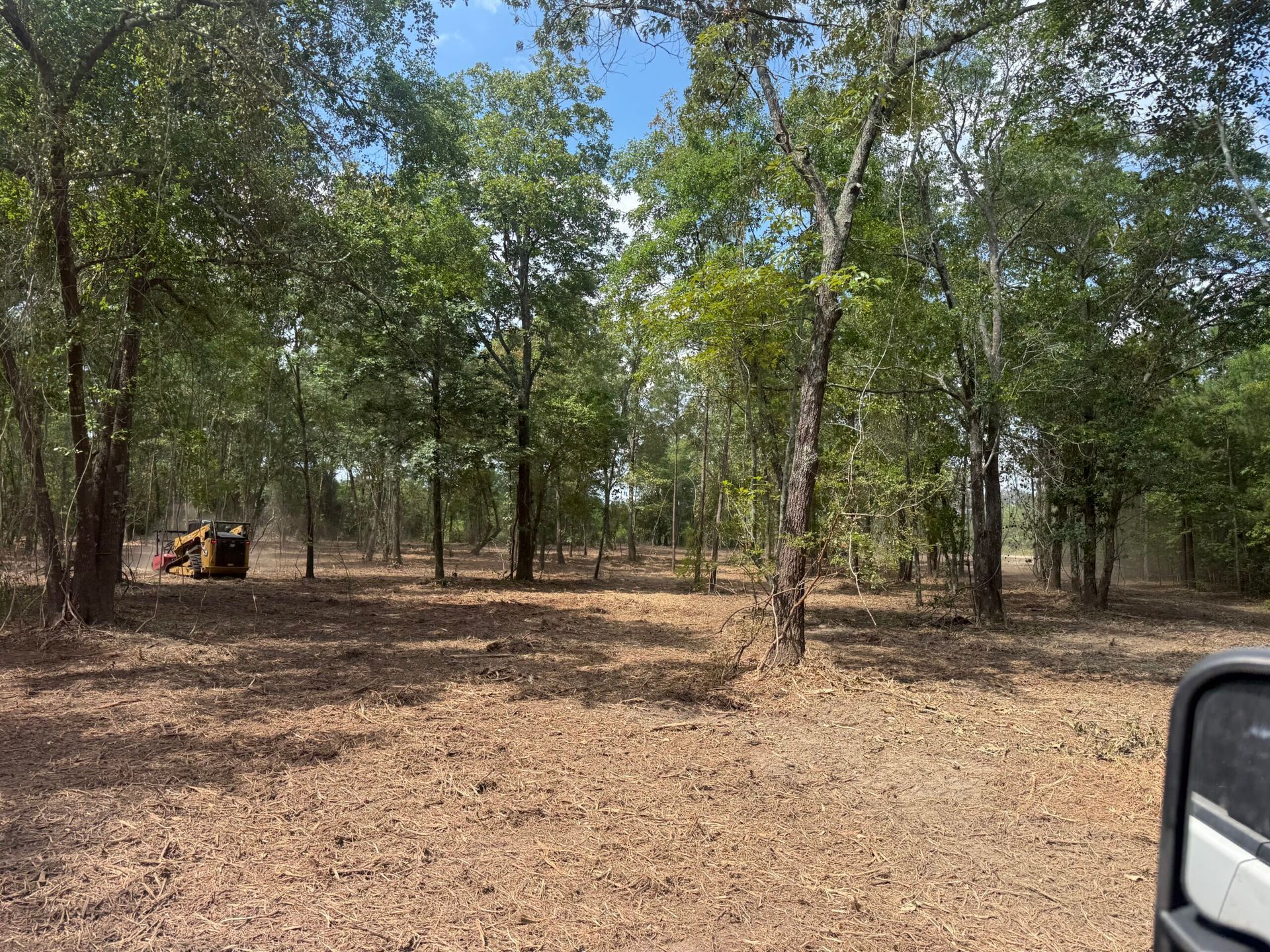 Dry wooded area with scattered trees and a small vehicle at left, viewed from inside a car.