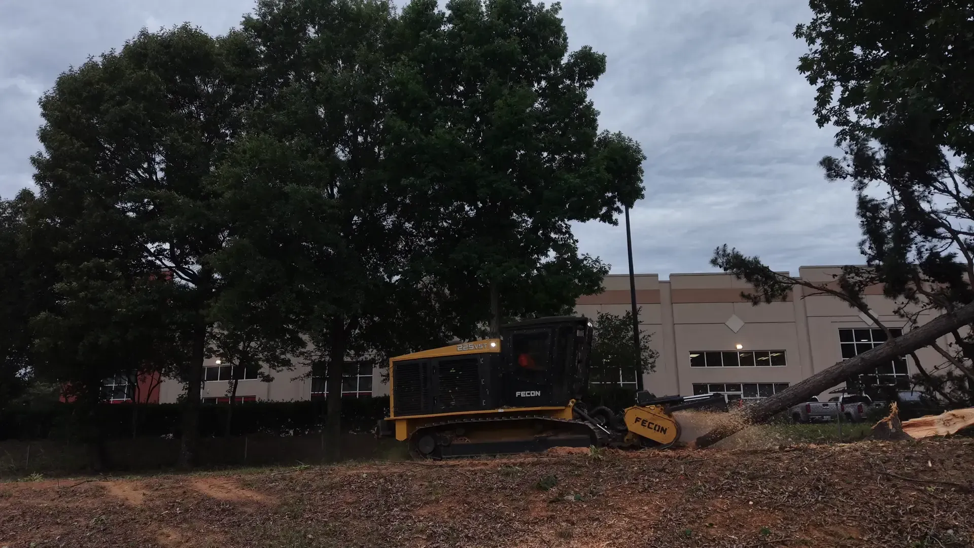 Bulldozer clearing fallen tree debris beside a building under large trees at dusk