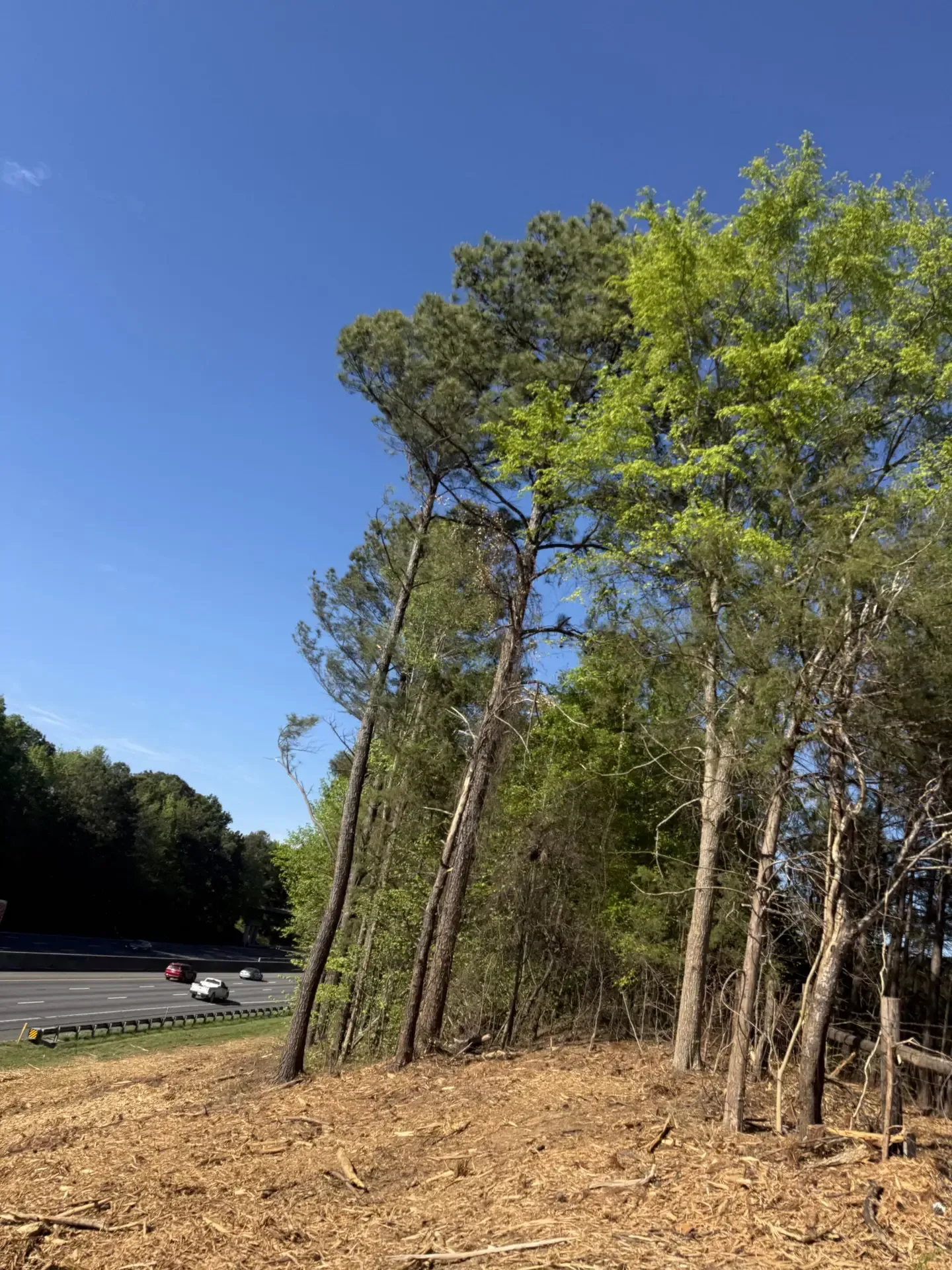 Steep wooded hillside beside a highway under a clear blue sky
