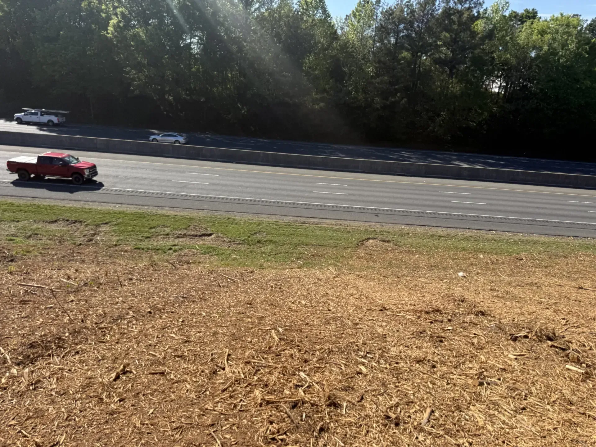Red sports car racing on a sunlit track with trees in the background