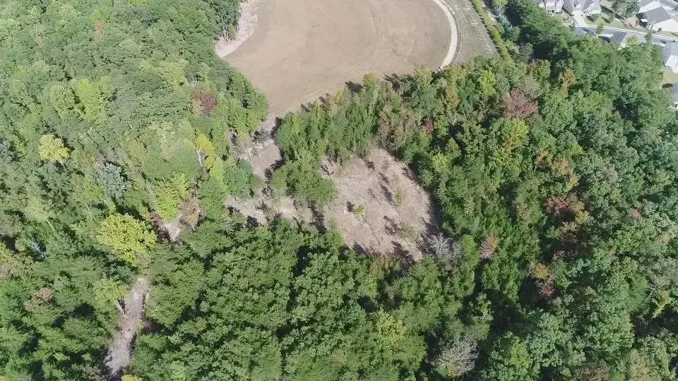Aerial view of dense green trees surrounding a small clearing and brown field edge