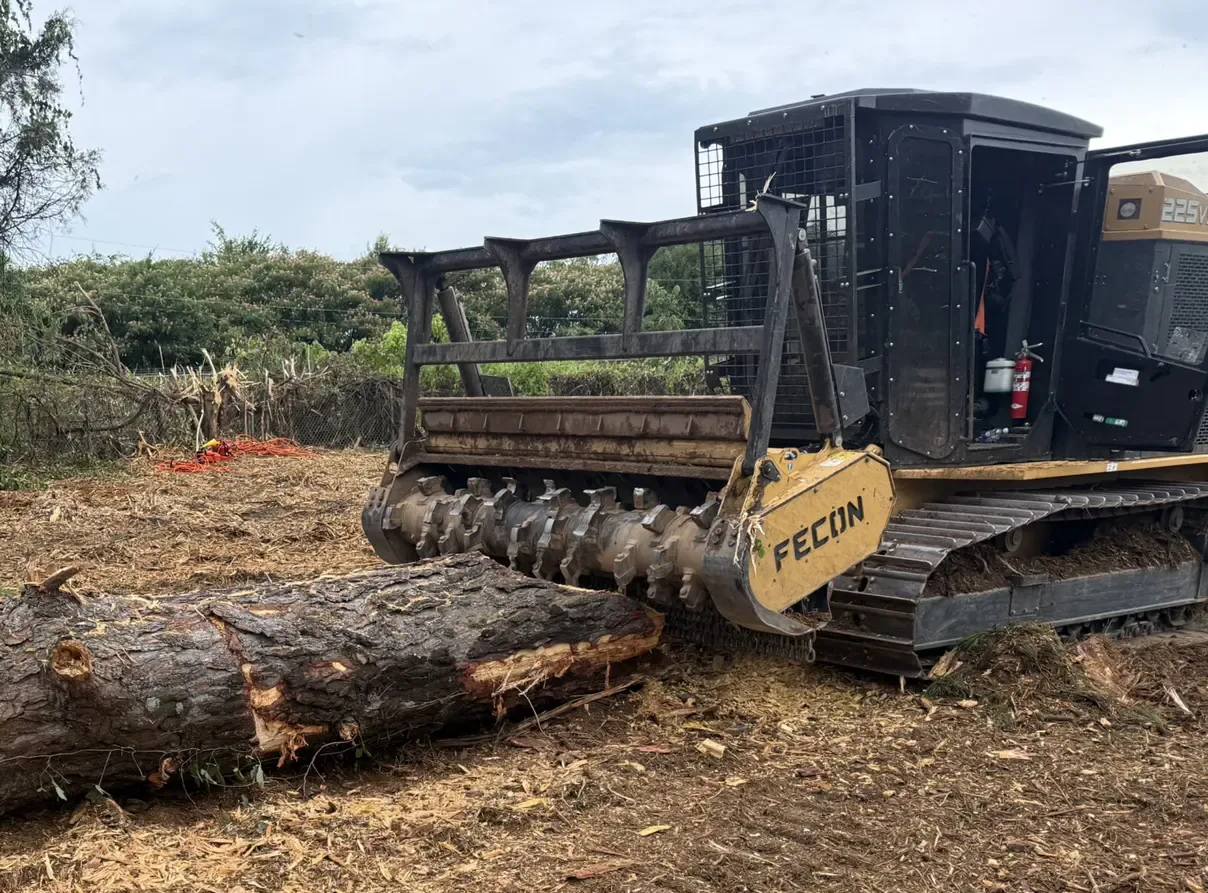 Yellow tracked mulcher clearing a fallen log in a muddy field with brush and trees nearby