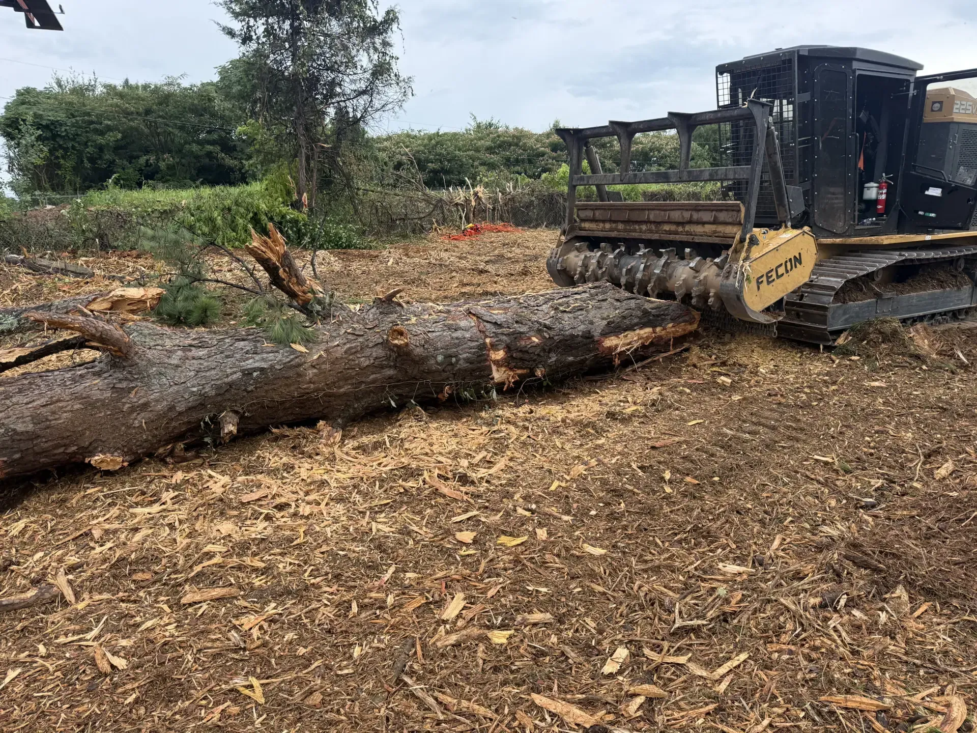 Bulldozer pushing a large fallen tree trunk in a cleared field with scattered branches and mulch.