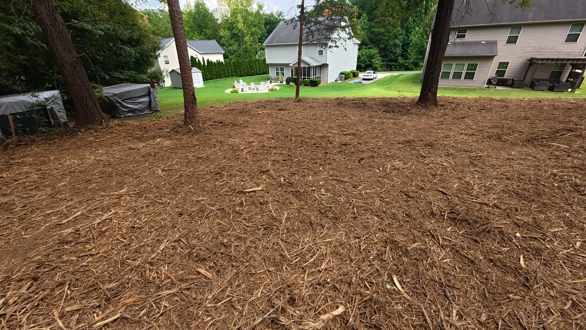Wooded yard covered in fresh mulch, with trees and houses in the background.