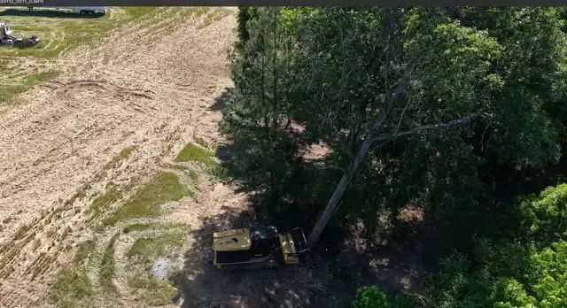 Yellow excavator clearing brush beside a dirt road, partly hidden by dense green trees.