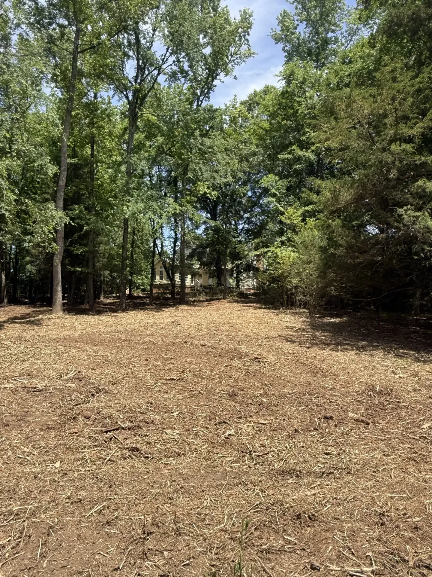 Cleared dirt path through a wooded area with green trees and sunlight filtering through the leaves