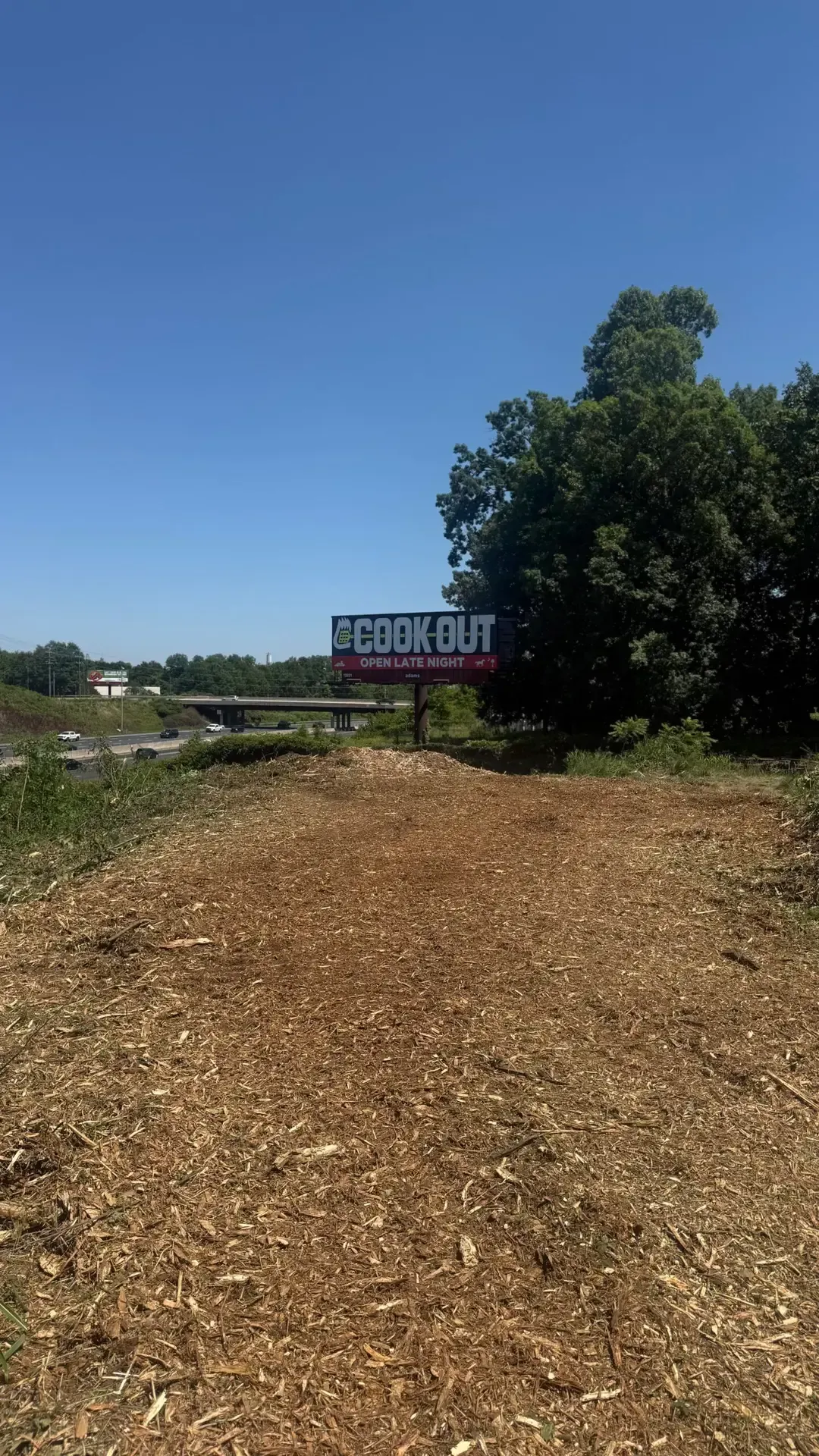 Dirt path leading to a picnic sign beside trees under a clear blue sky