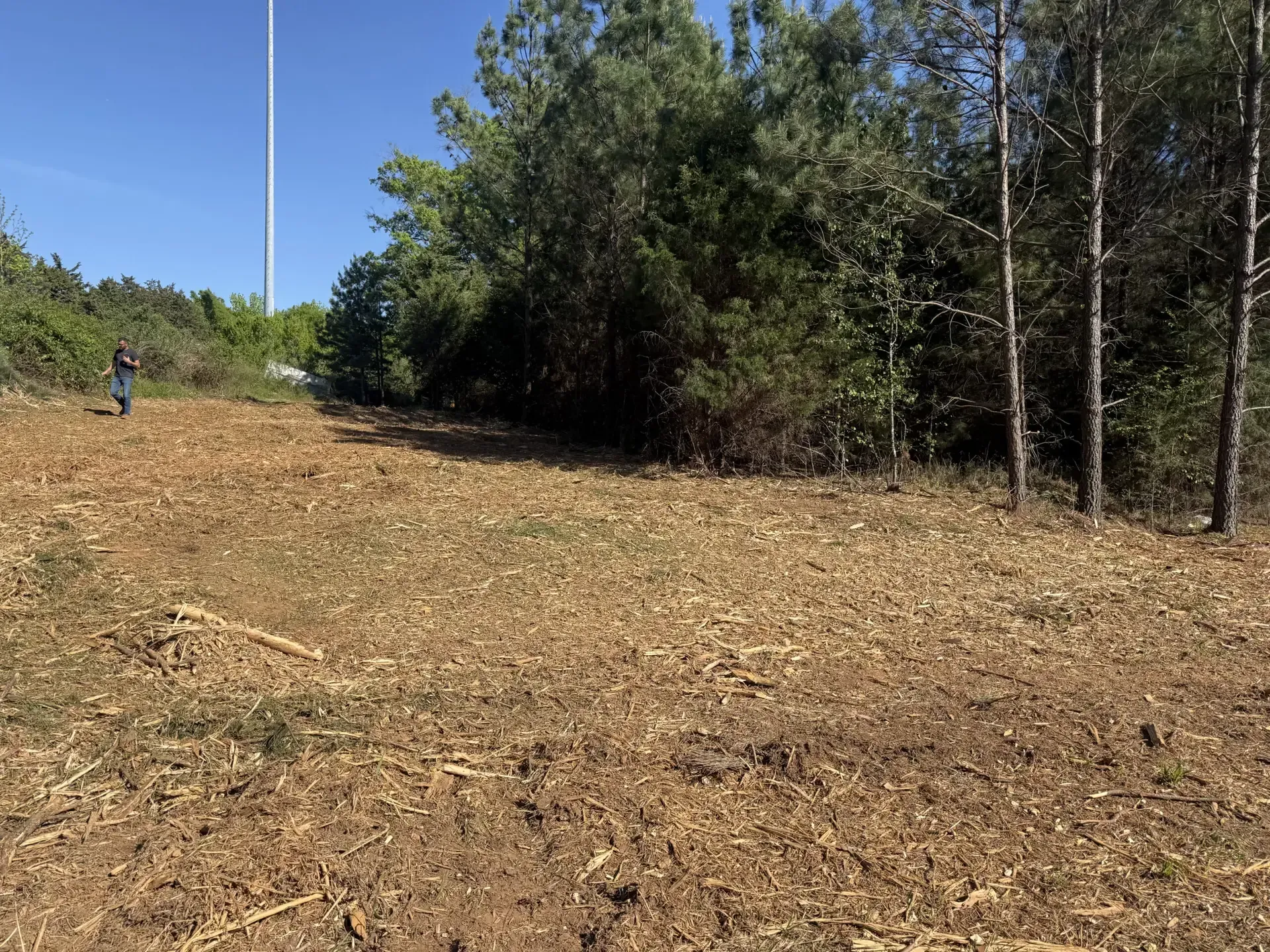 Cleared dirt path beside trees under a blue sky, with a person standing in the distance.