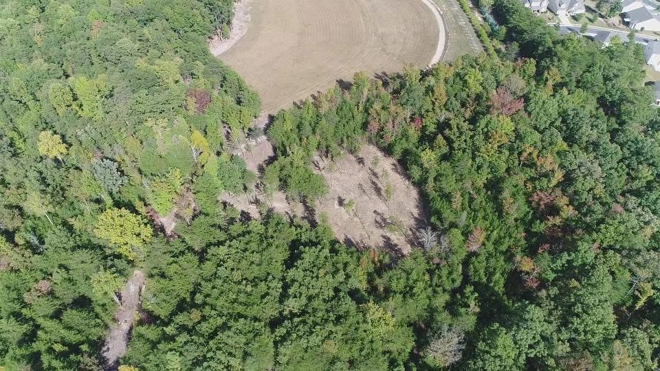 Aerial view of a forest clearing beside a tan dirt field, with dense green trees surrounding it