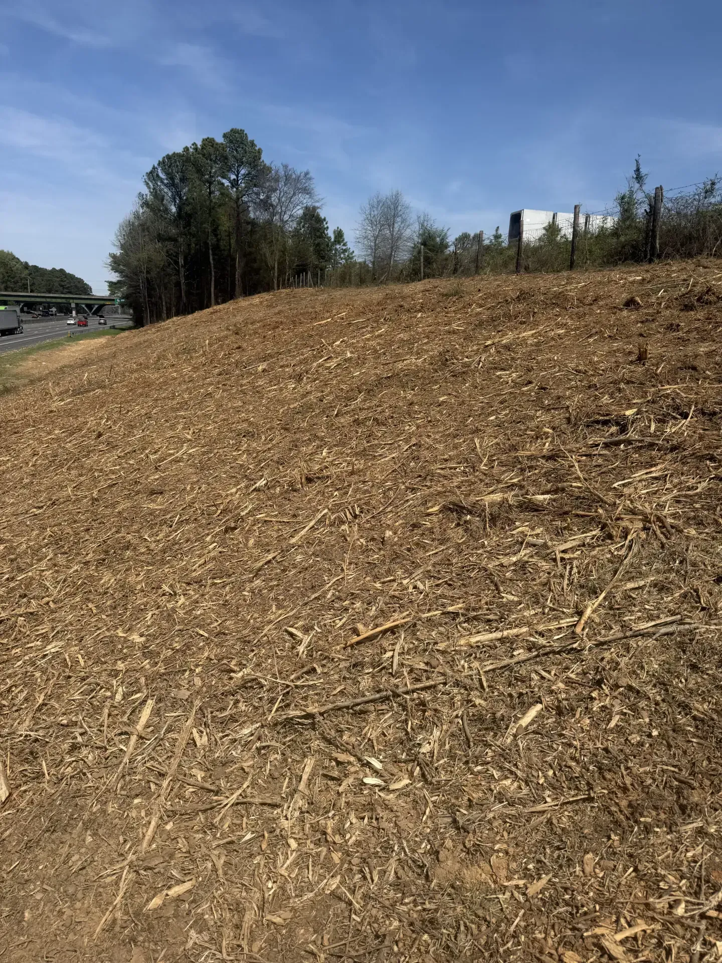 A large mulch-covered hillside under a blue sky with trees in the background.