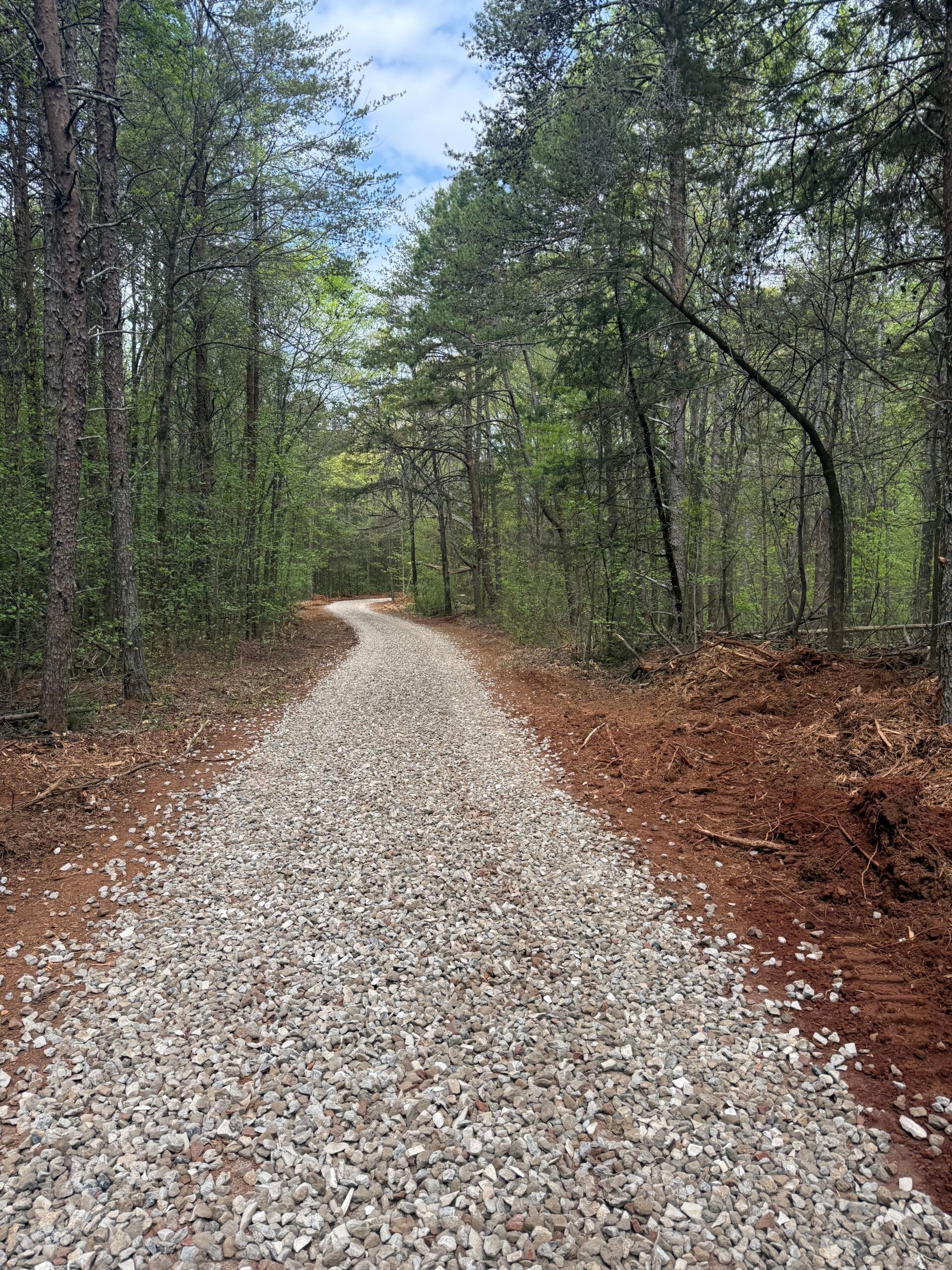 Gravel path winding through a wooded forest with tall trees and brown leaf litter