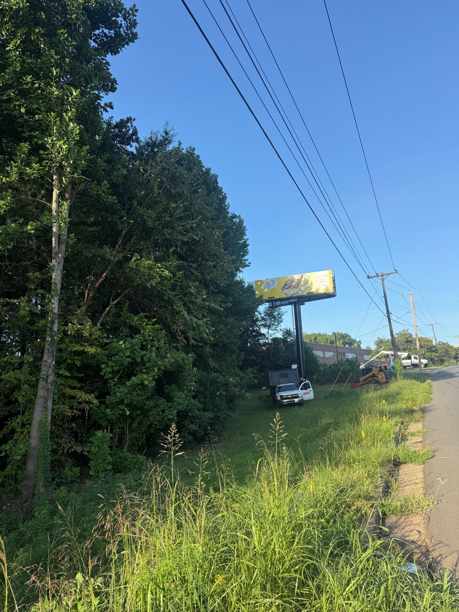 Grassy roadside beside trees and power lines, with a car parked under a yellow billboard in the distance.