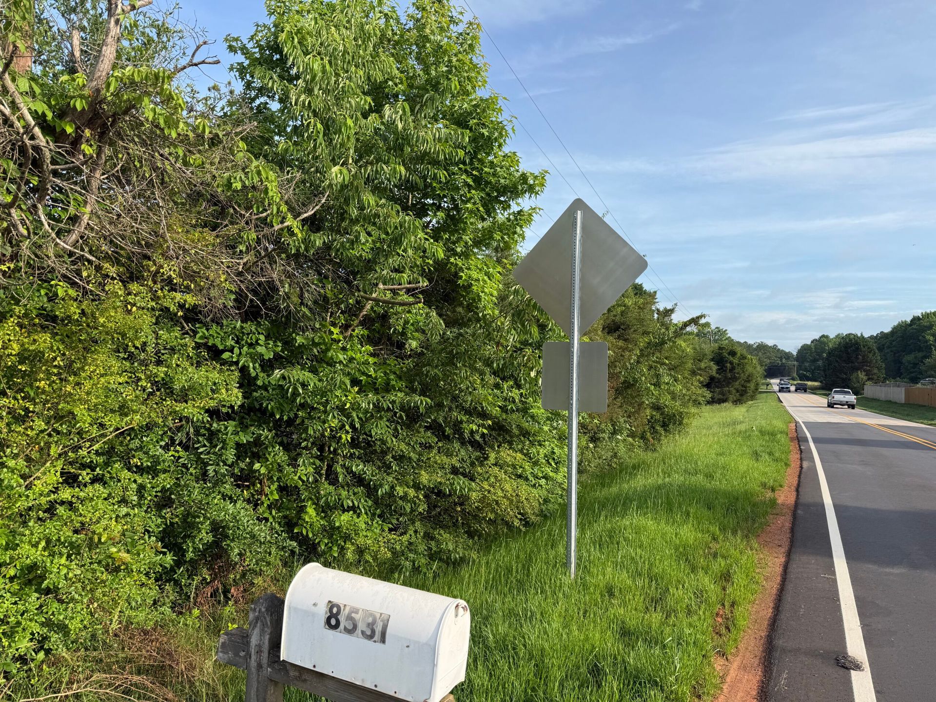 Roadside greenery beside a paved road with a blank traffic sign and a white mailbox under a clear sky