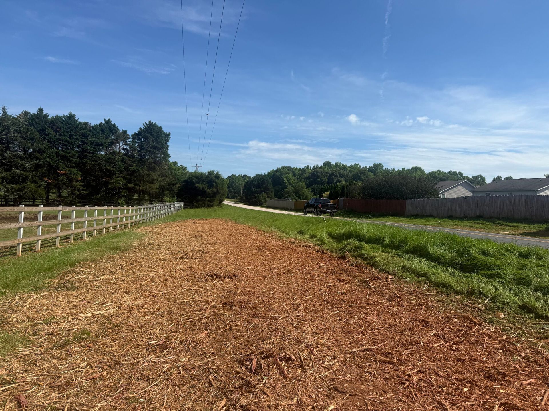 Wooded farm path under blue sky, with white fence on the left and green fields on the right.