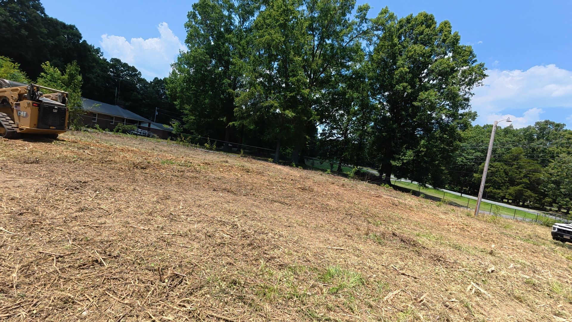 Grassy hillside with a large green tree, blue sky, and a utility pole on the right.