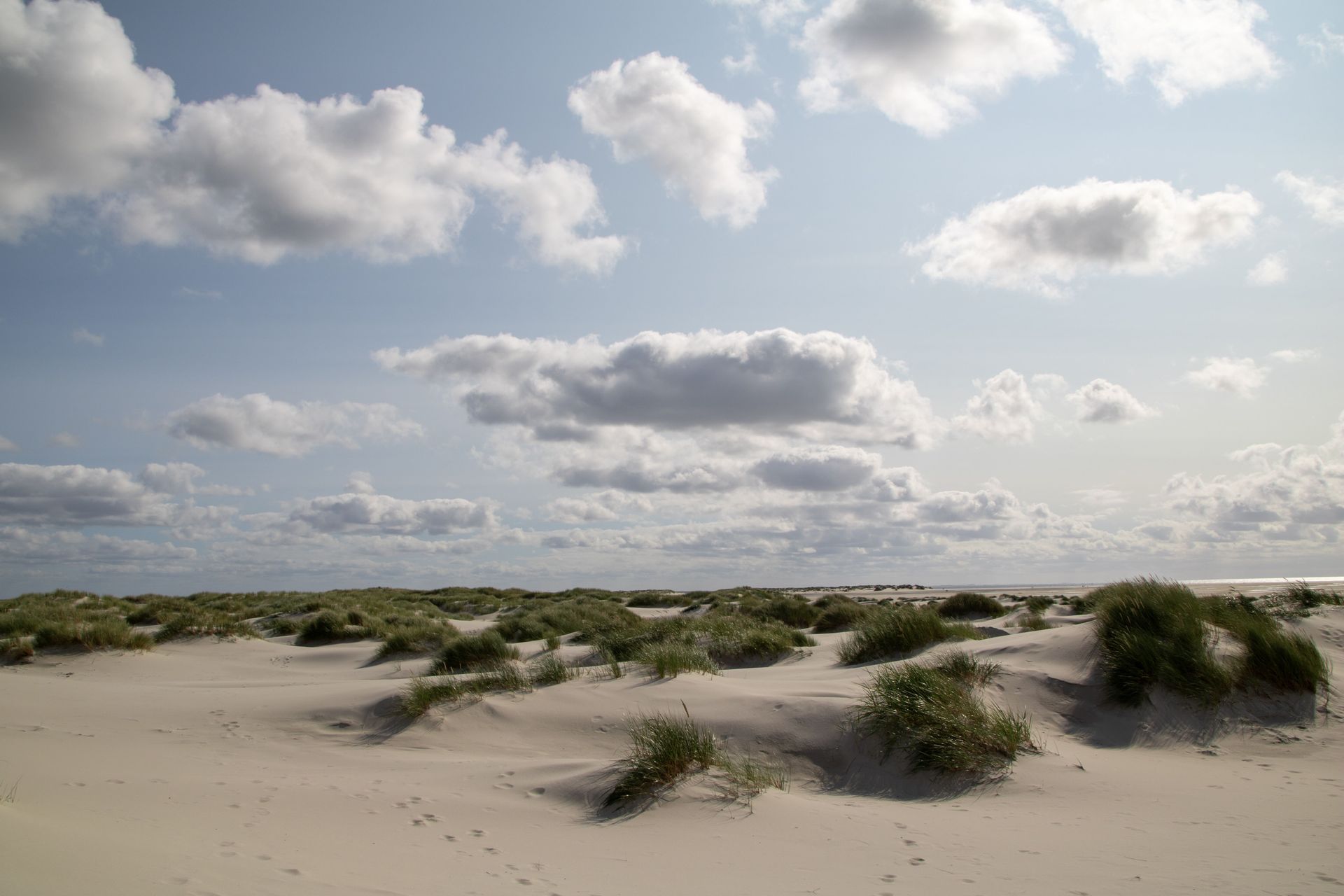 Trouwlocaties op Goeree-Overflakkee