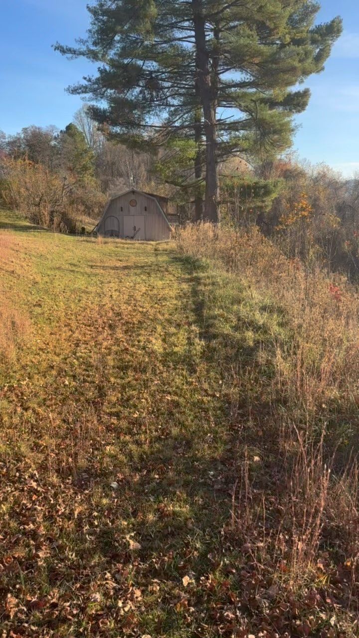 An old building in a field, with a tall tree next to it; fall foliage.