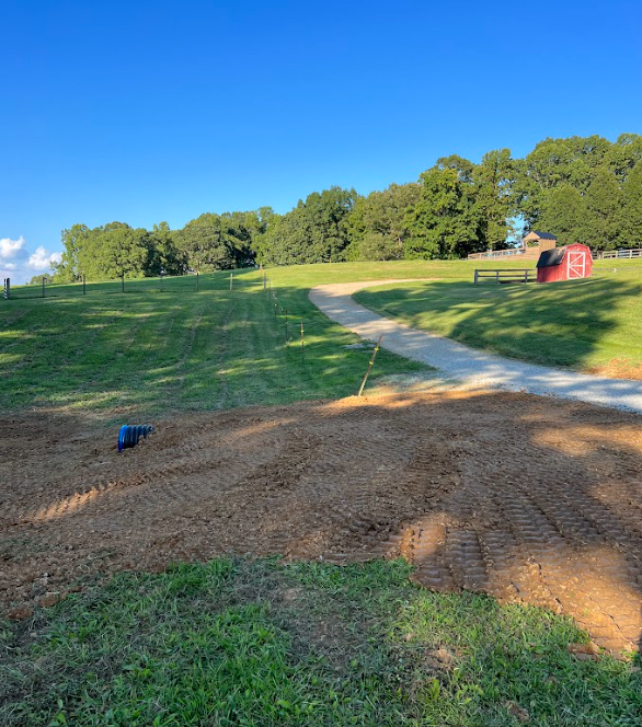 Green field with gravel path and red shed under a blue sky, some trees in the background.