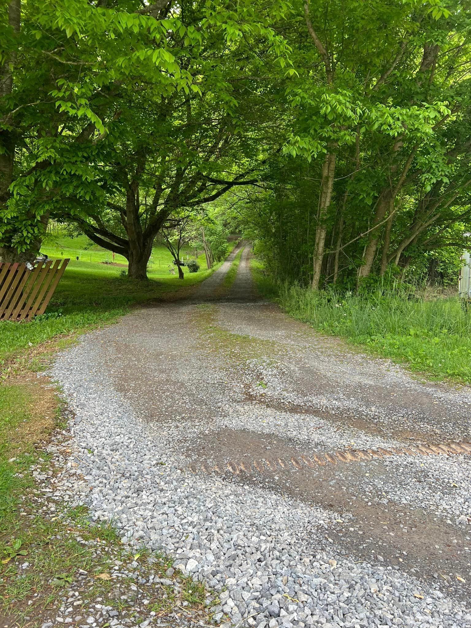 Gravel driveway leading into a shaded area under trees. Green foliage on both sides and overhead.