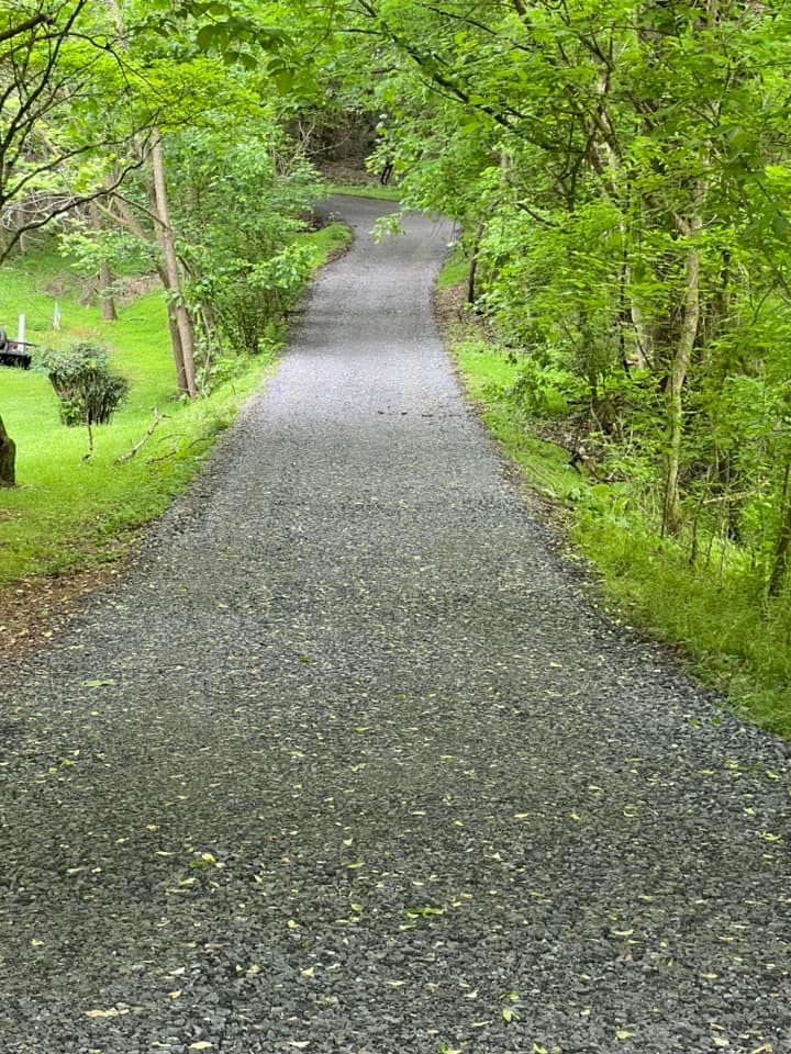 Gravel path through lush green trees.