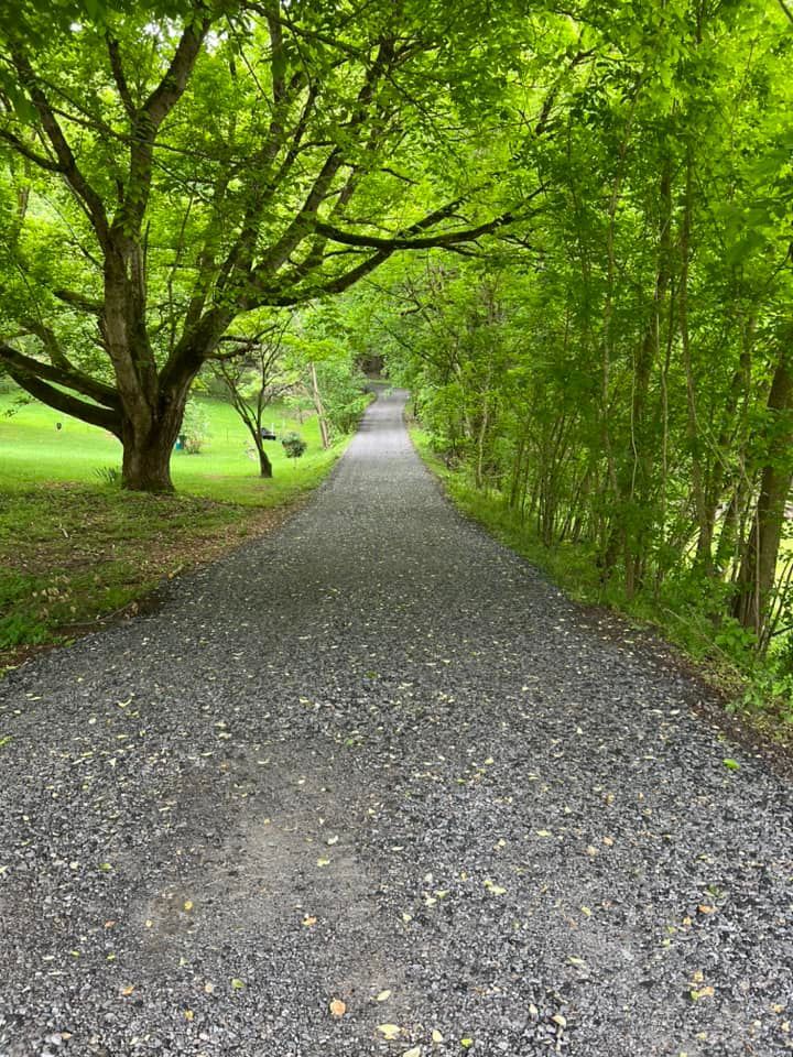 Gravel path lined with trees and bamboo leads into the distance under bright green foliage.