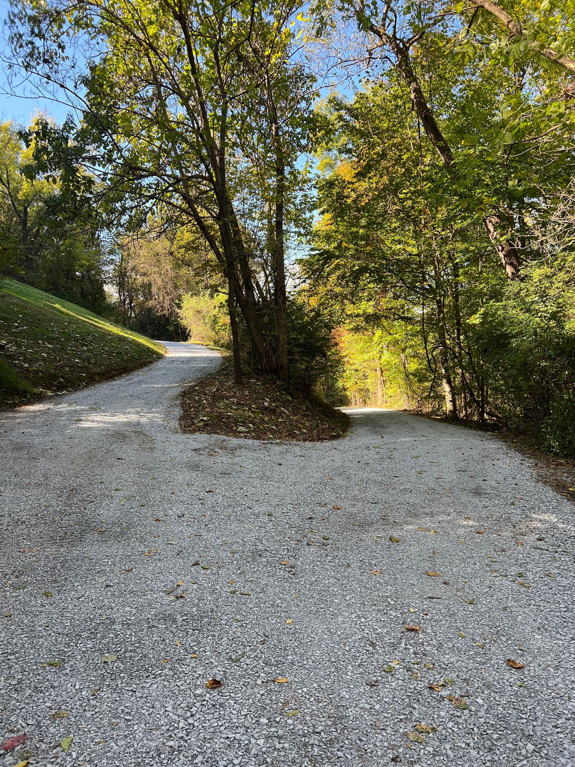 Gravel paths split around a tree. Bright autumn sunlight filters through the surrounding trees and grass.