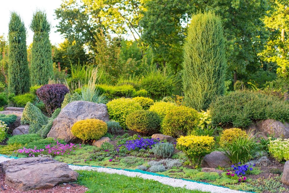 Lush garden bed with boulders, varied green, yellow, purple shrubs, and tall evergreen trees.