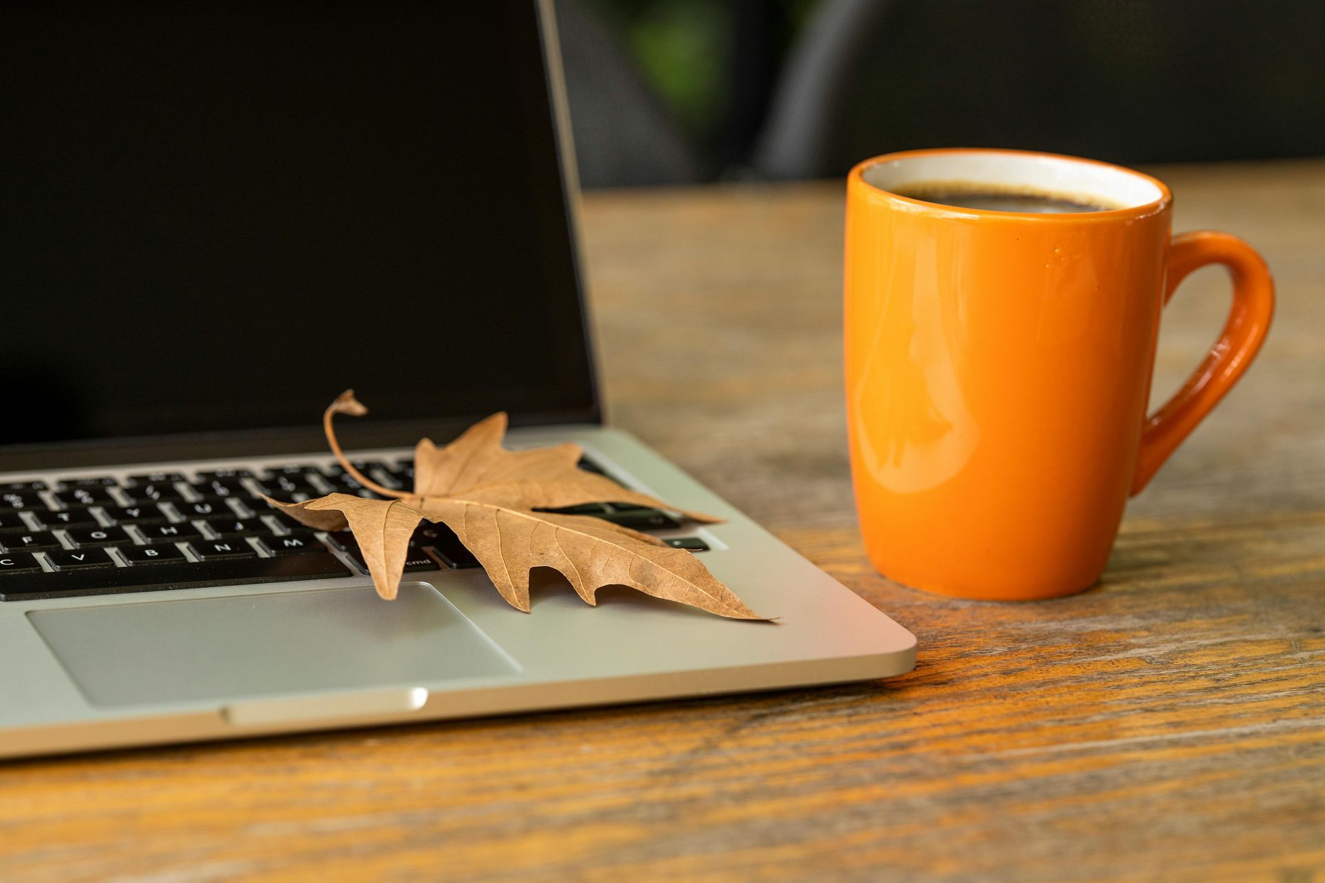 Fall Marketing