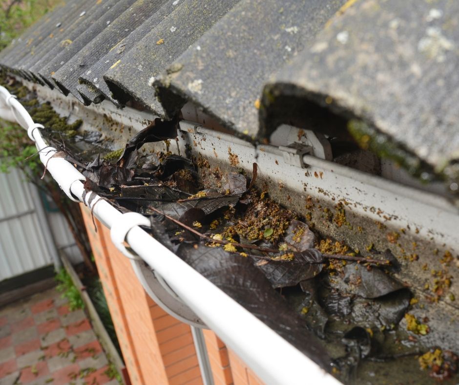 A gutter filled with wet, decomposing leaves and debris sits below a roof with dark, weathered tiles.