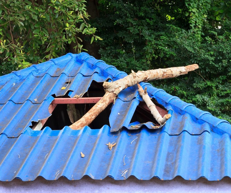 A tree branch has punctured and broken through a section of a blue corrugated metal roof.