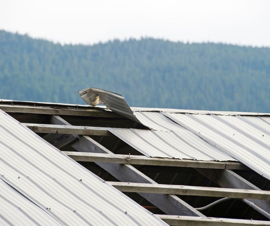 A damaged metal roof with missing panels, exposing the wooden structural beams against a background of pine trees.