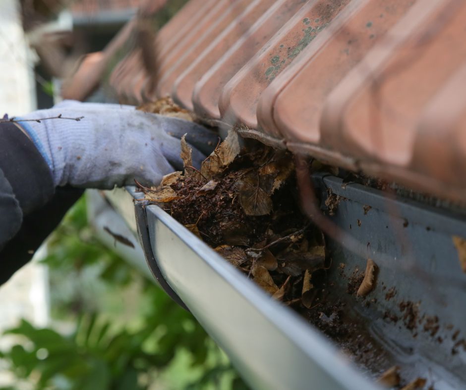 A person wearing work gloves clears dead leaves and debris from a metal rain gutter beneath a tiled roof.