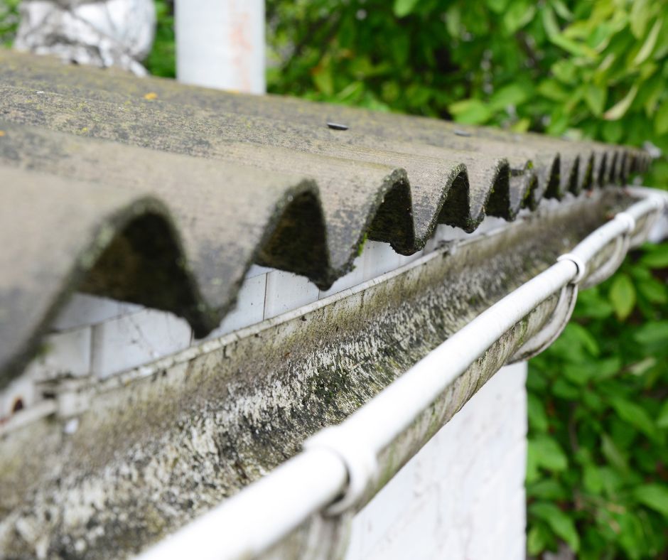 A close-up of a weathered, corrugated cement roof panel hanging over a dirty white plastic rain gutter.