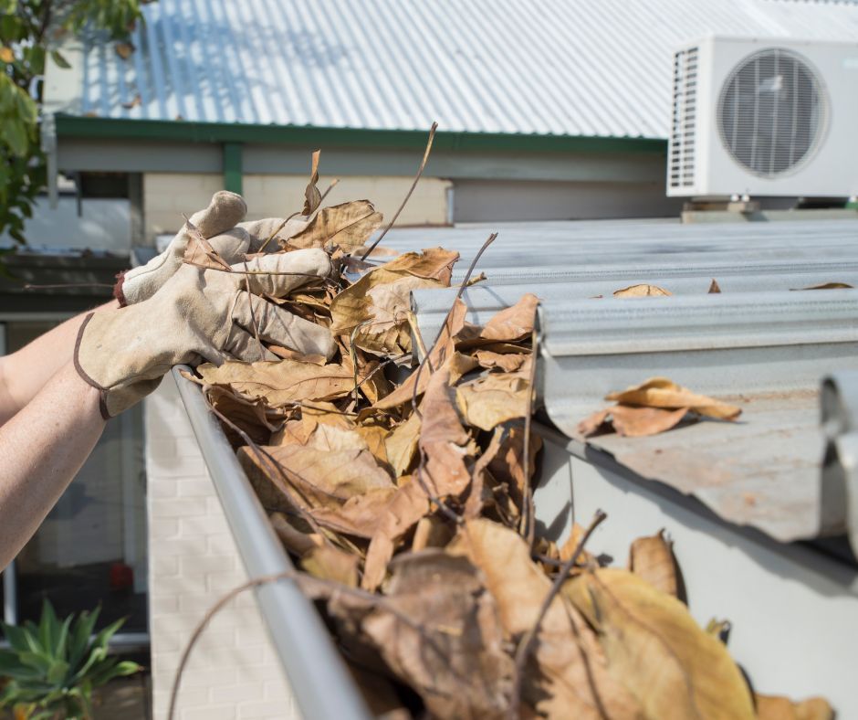 A person wearing work gloves cleans a pile of dry autumn leaves out of a residential metal rain gutter.