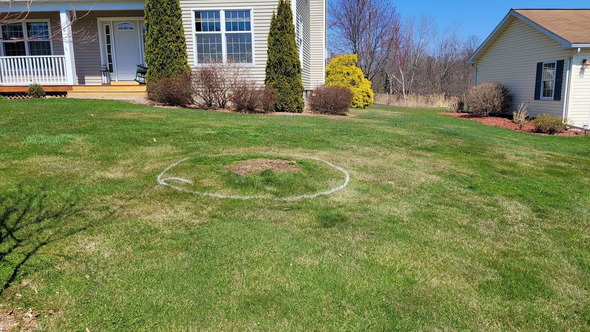 Front yard lawn with a circular patch of white powder, in front of a house on a sunny day
