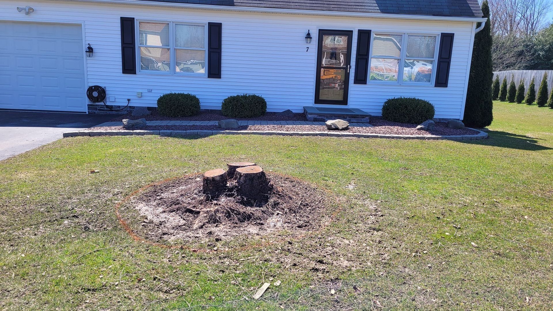 Front yard of a white house with a large tree stump in the grass.