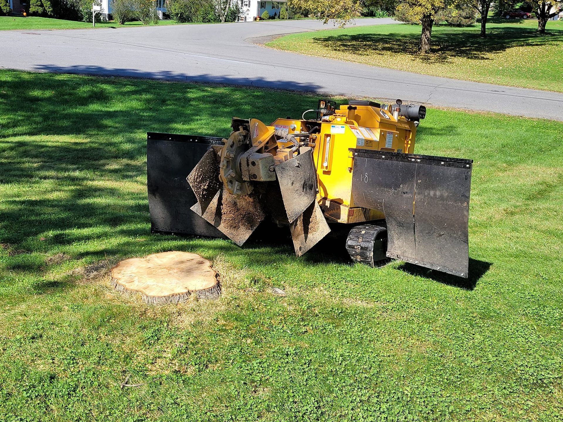 Small outdoor fire burning in a metal fire pit on a grassy lawn near a sidewalk.