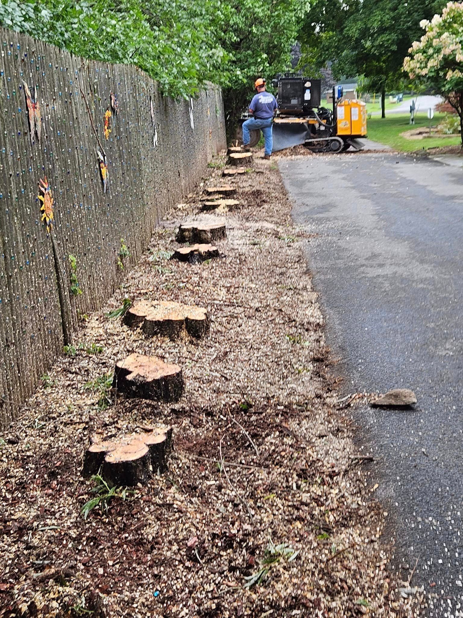 Workers clearing fallen leaves along a stone wall beside a road with a leaf blower.