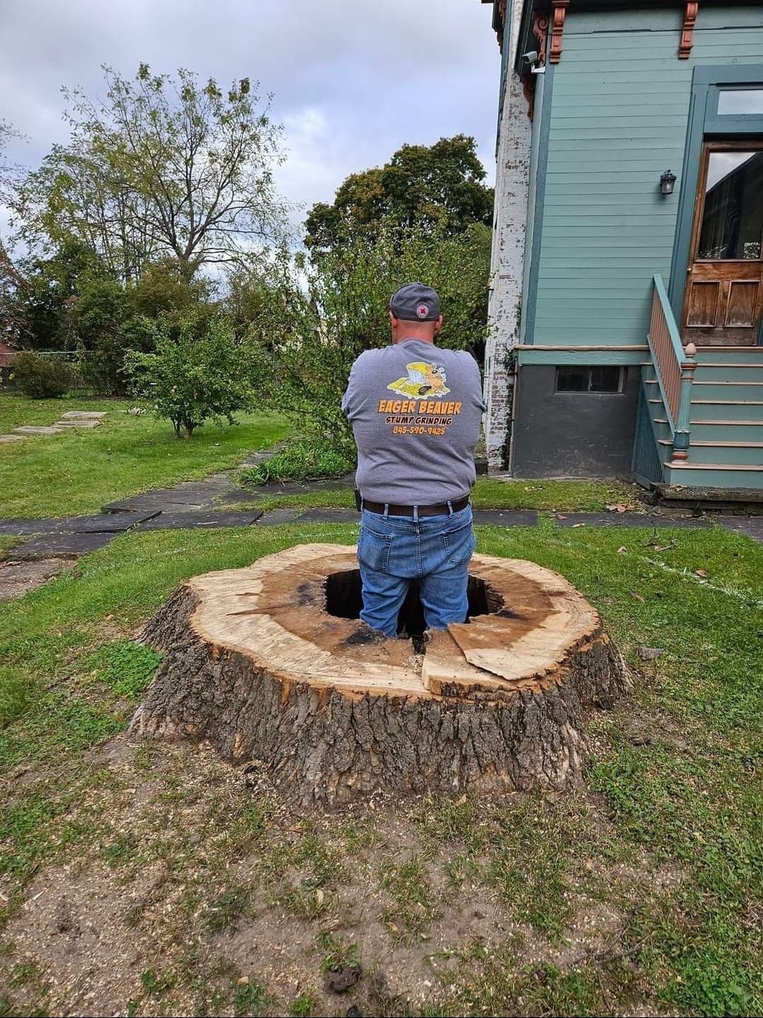 Person stands in a large tree stump in a grassy yard beside a teal house.