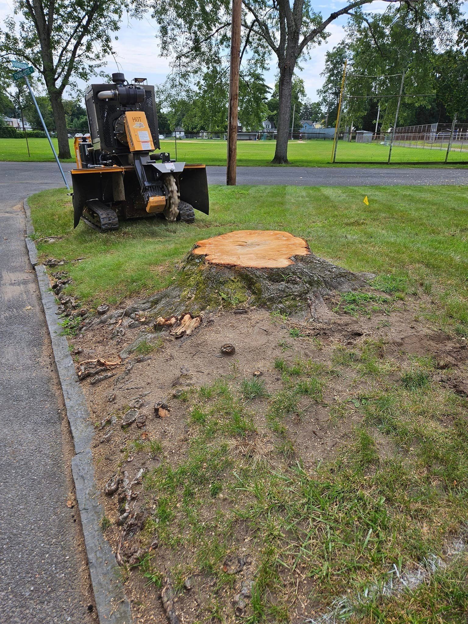 Tree stump in a grassy park beside a sidewalk, with a small construction vehicle nearby.