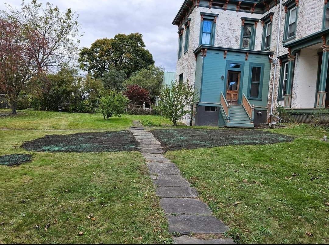 Overgrown front yard with stone path leading to a turquoise house with peeling paint.