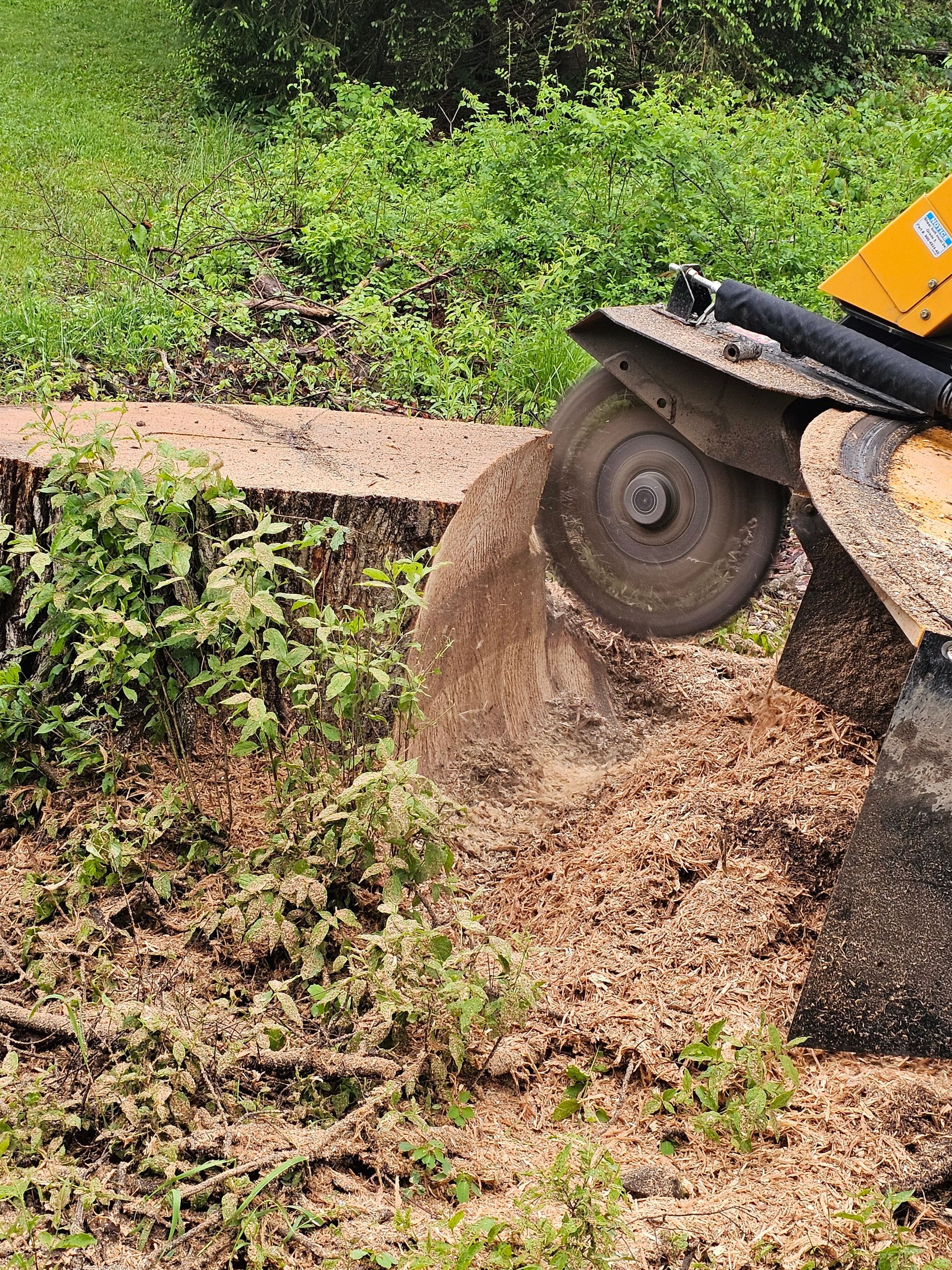 Construction saw cutting into concrete slab beside a green roadside embankment