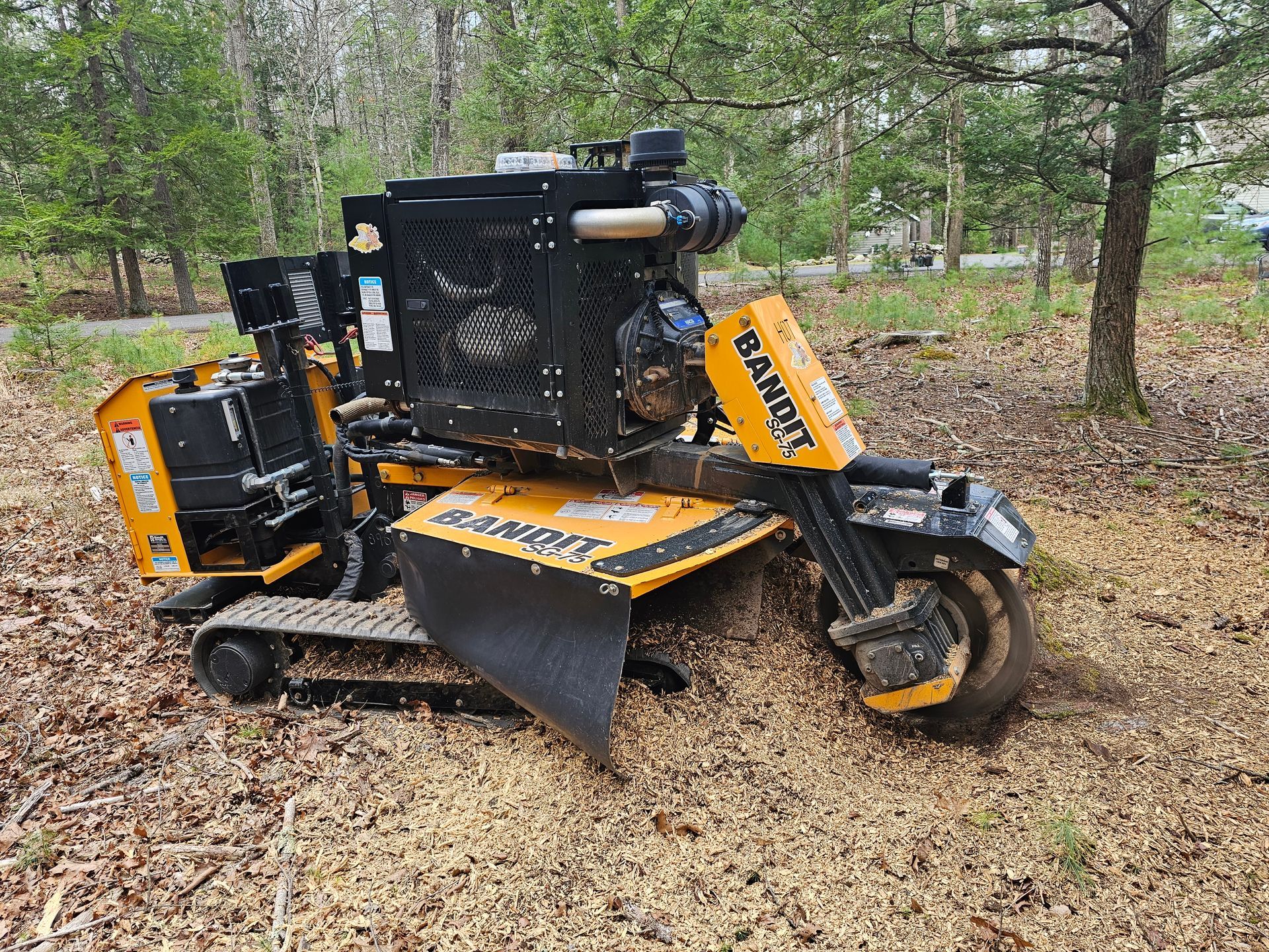 Black and yellow mini tracked excavator in a wooded area with leaves on the ground