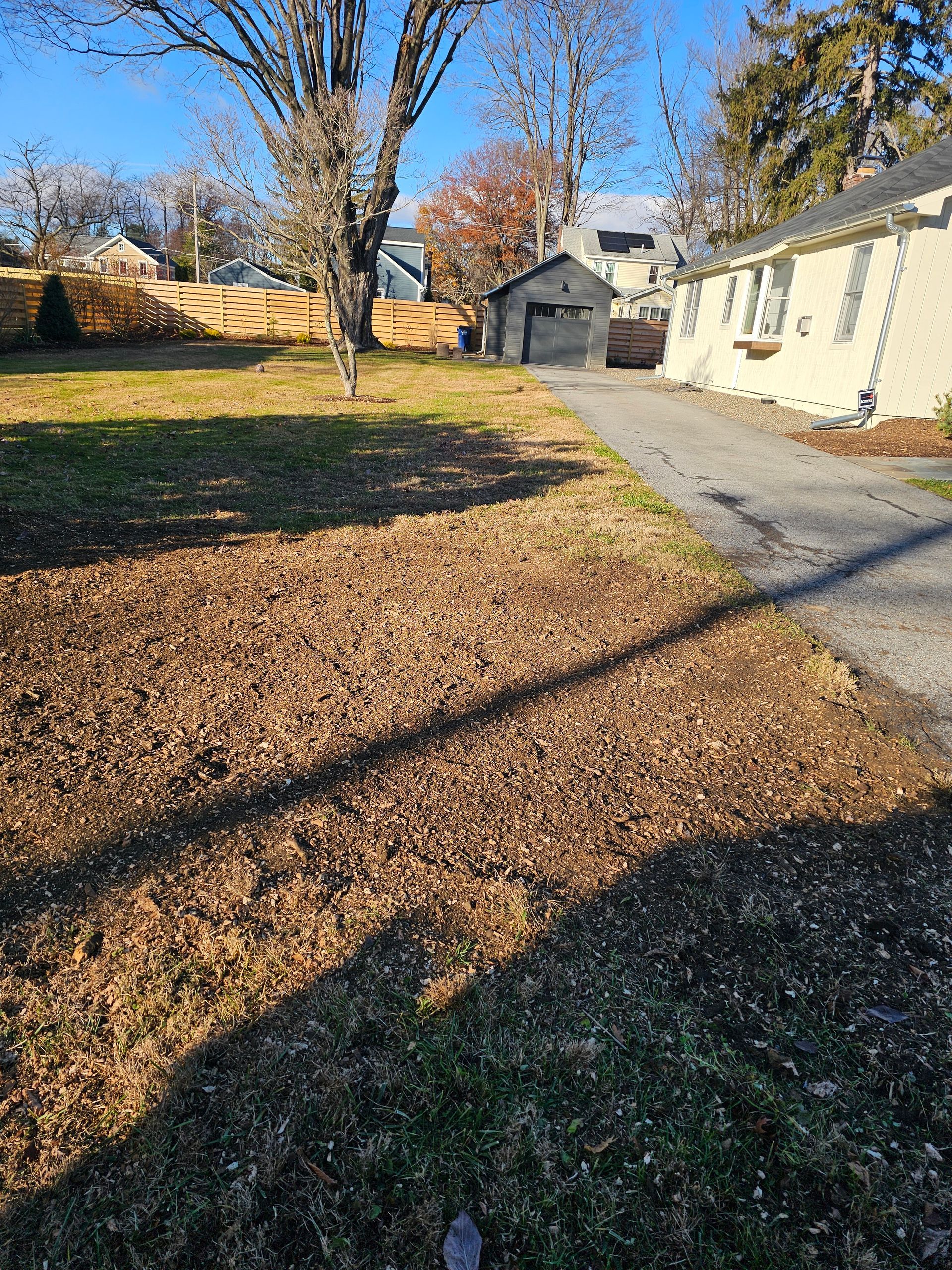 Backyard with leaf-covered grass, a tree, and a paved path beside a light-colored house under autumn sun
